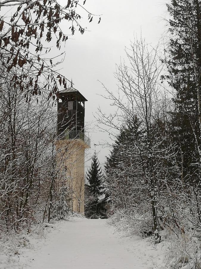 Marktrodach Fraenkische Linie - Radspitz-Ferienwohnungen מראה חיצוני תמונה